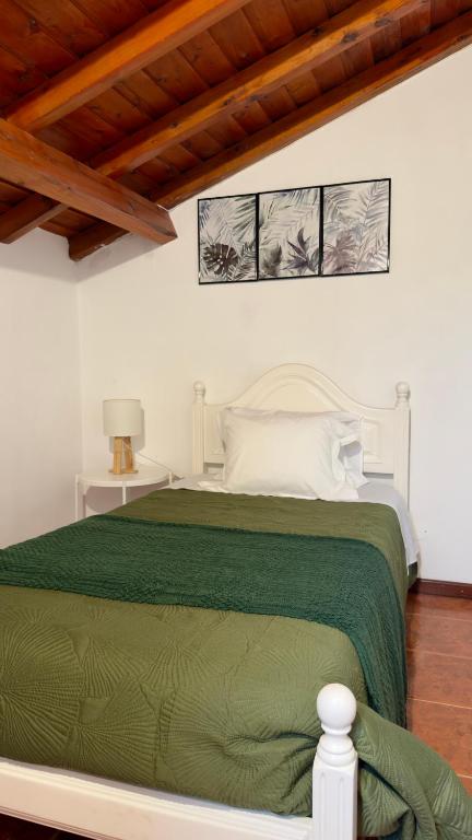 a bedroom with a bed with a green comforter at Santo Cristo Loft in Lajes das Flores