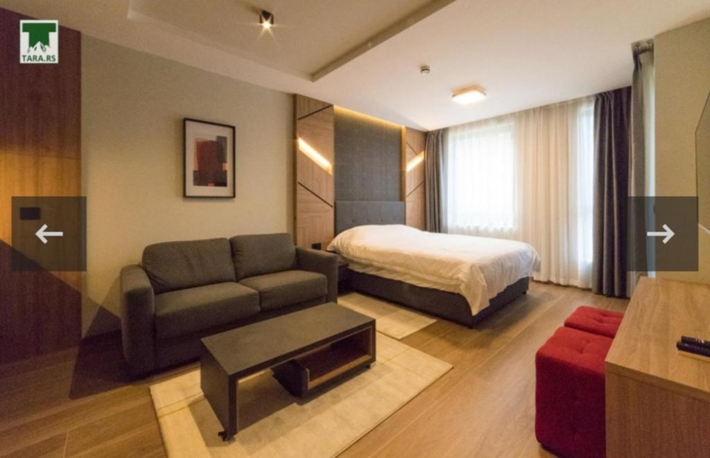 a hotel room with a bed and a couch at Maksim 2 in Iglići
