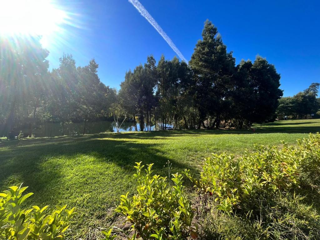 a field of grass with trees and the sun in the sky at laguna verde apart in Los Ángeles