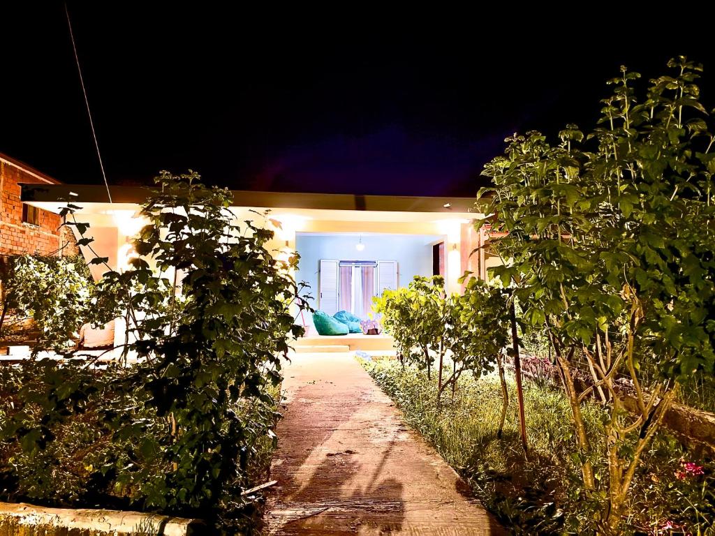 a house with a lit up yard at night at Green House Permet in Përmet