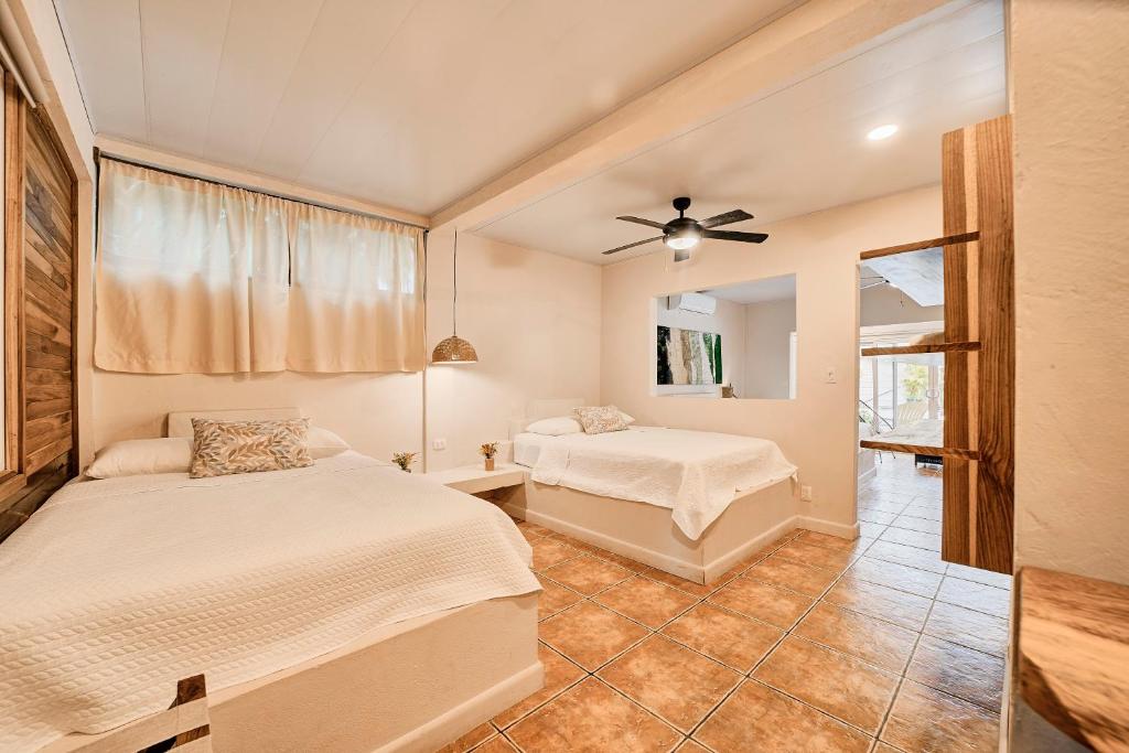 Cariblue Beach and Jungle Resort photo