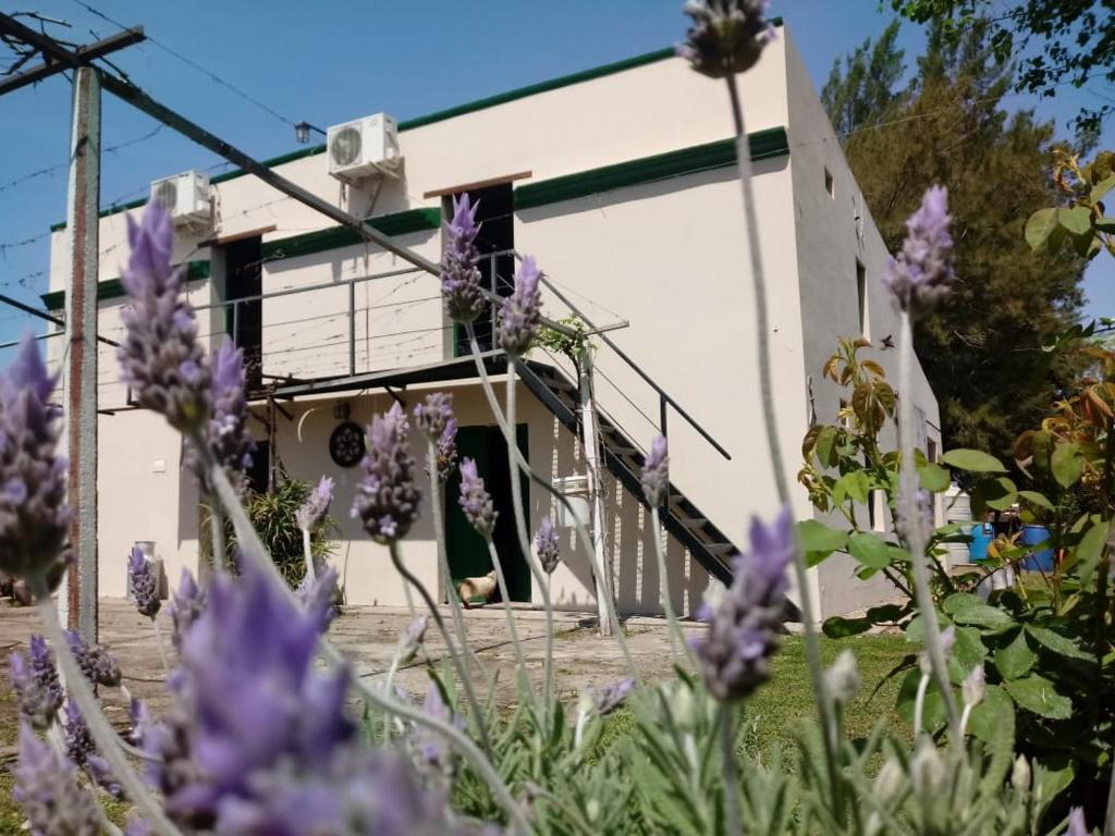 a house with purple flowers in front of it at Posada La Maison D Agustine in Colón