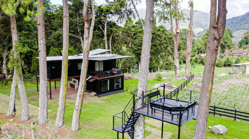 a house in the middle of a forest with trees at Casa Bajareque in Cerro Punta
