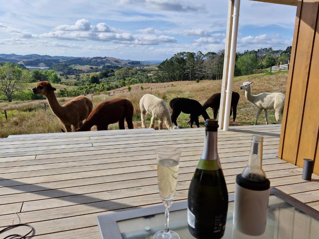 a table with a bottle of wine and a group of llamas at HavenRidge Alpaca Glamping Cabins in Kaiwaka
