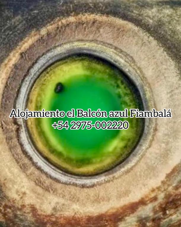 alojamiento el balcón azul Fiambalá