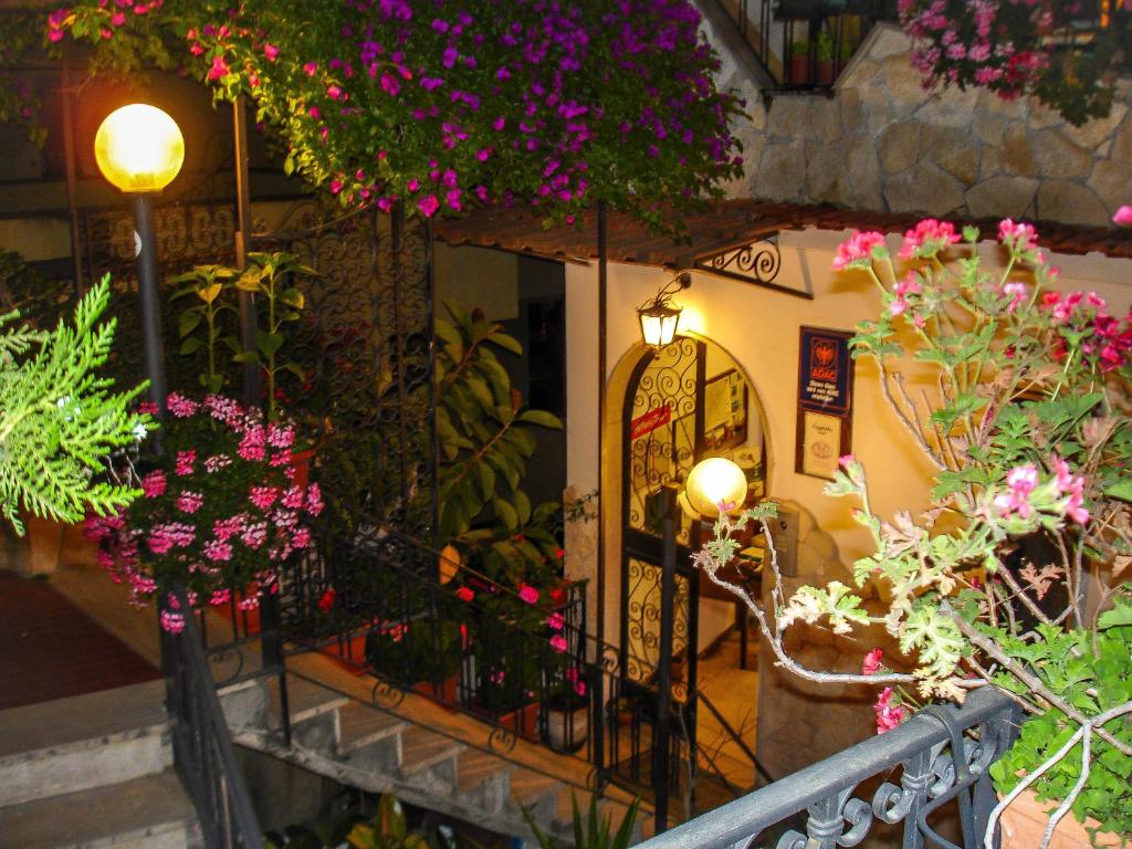Zahrada ubytování Hotel Condor