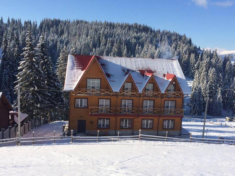 ein großes Holzhaus im Schnee mit Bäumen in der Unterkunft Dream House in Jablunyzja