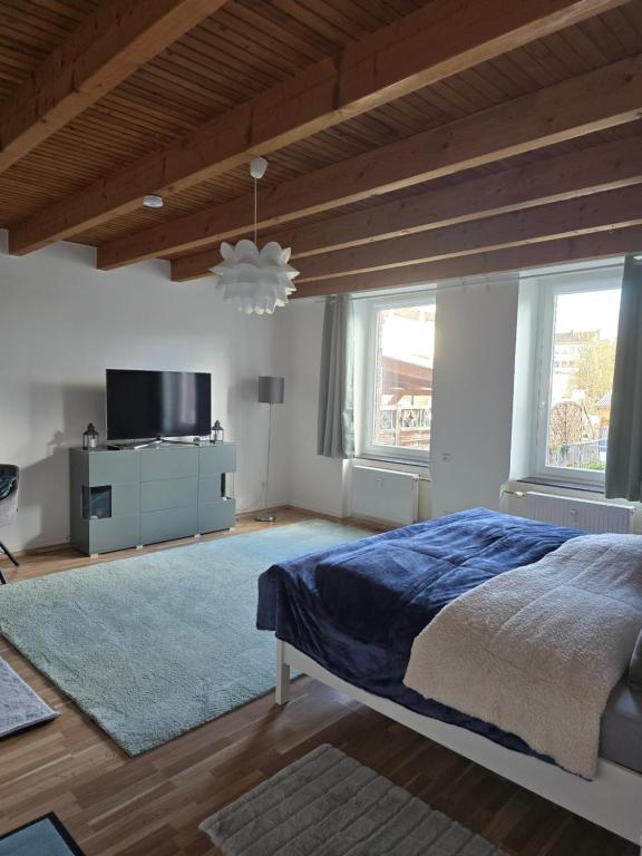 a bedroom with a bed and a tv and two windows at Auszeit Tor zur Eifel in Euskirchen