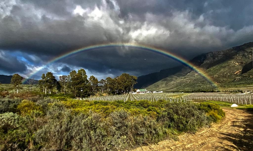 a rainbow over a field with a dirt road at Mountainview Vineyards in Robertson