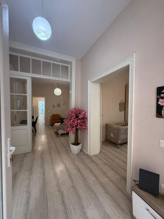 a living room with a vase with pink flowers in it at Limore Hostel in Tirana
