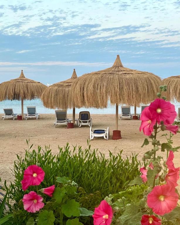 a beach with chairs and straw umbrellas and flowers at Avenue Alhambra princess resort in Hurghada