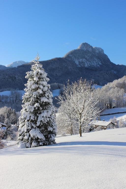 Paesaggio naturale nelle vicinanze dell'affittacamere