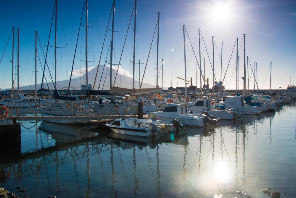 a group of boats docked in a marina with a mountain at Hotel Horta in Horta