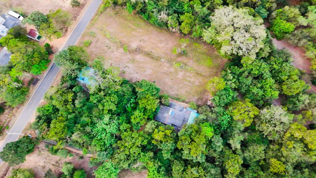 an overhead view of a house in the forest at Clay Hut by Ever Green Eco Resort in Wilpattu