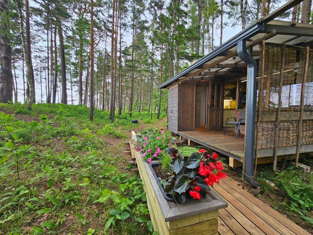 a small cabin with flowers on a wooden deck at Skaisto saulrietu namiņš in Lembuži