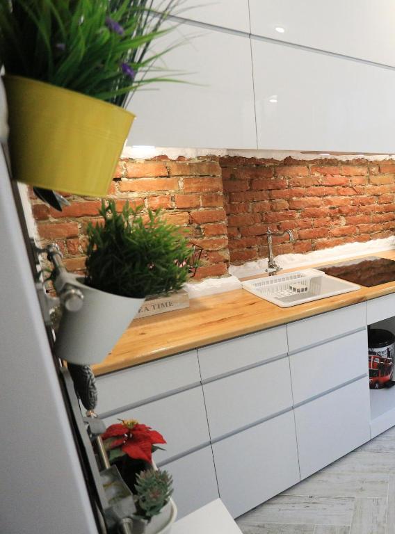 a kitchen with potted plants on a counter at Cazare Ceronav CityCenter Galati in Galaţi