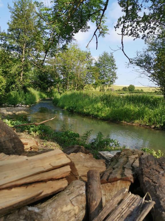 a river with logs on the side of it at Le Moulin d'Audenfort in Clerques