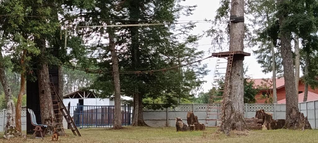 Domo cudico espacio natural