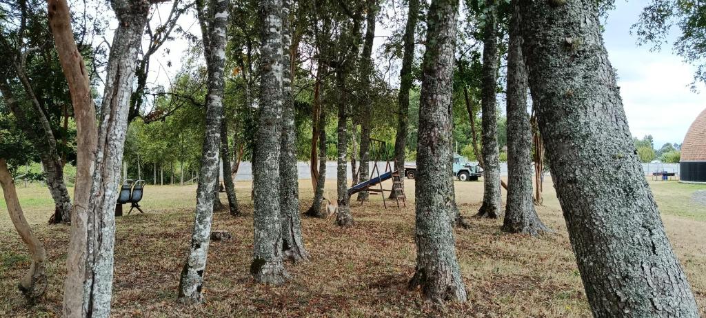 Domo cudico espacio natural