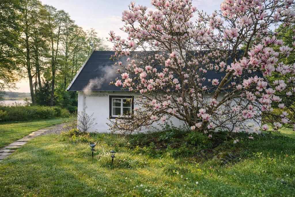 a small house with a flowering tree in front of it at Grynnan in Skå