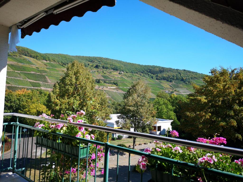 a view from the balcony of a house with flowers at Appart-Pension-Schier in Zell an der Mosel