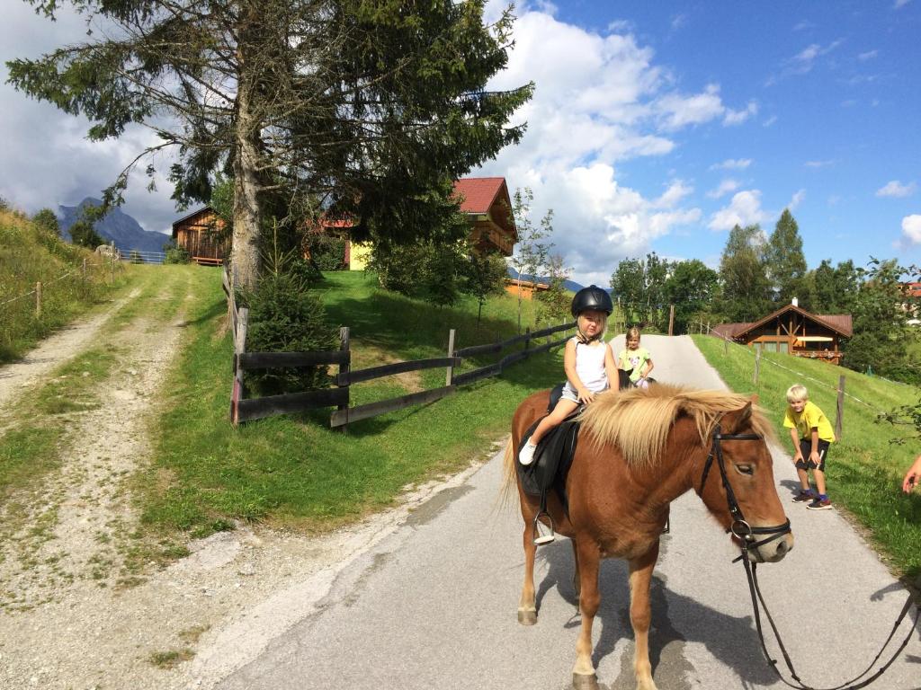 Zvieratá na farme alebo blízkom okolí
