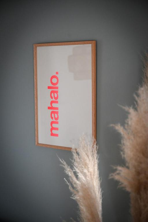 a picture of a mirror on a wall with feathers at Klitrosen Coastal Hideout in Thisted