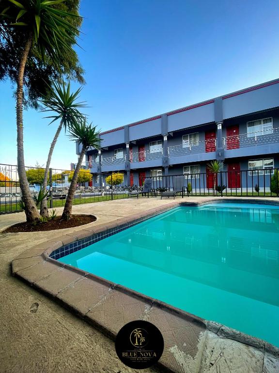 a swimming pool in front of a building with palm trees at Bluenova guesthouse in Dundee