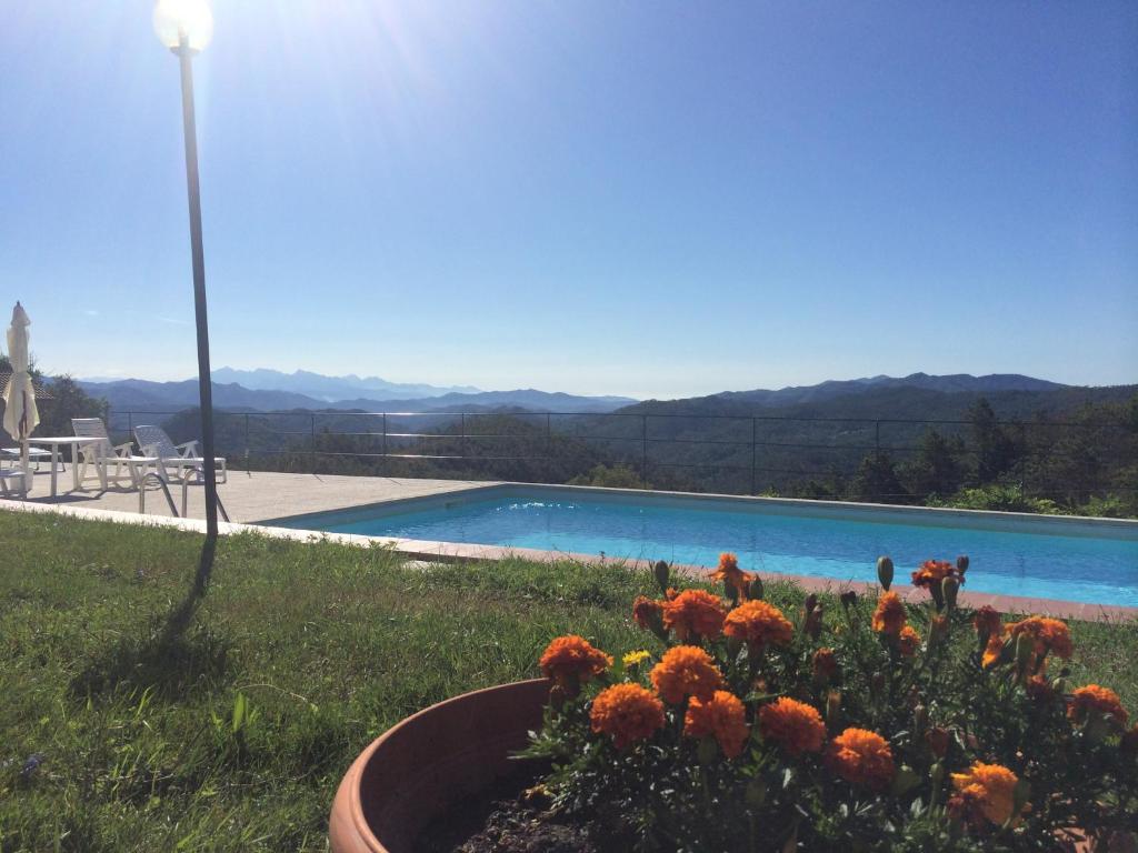 a pot of flowers next to a swimming pool at Residence The Cherry House - Appartamenti con piscina in Carro