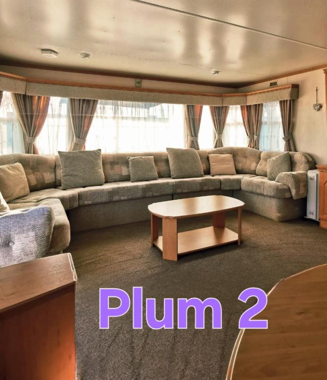a living room with a couch and a coffee table at Plum 2, luxury 3 bed 8 berth, gas central heating, bedding included, Static caravan with large wrap around secure veranda on Coral Beach in Ingoldmells in Ingoldmells