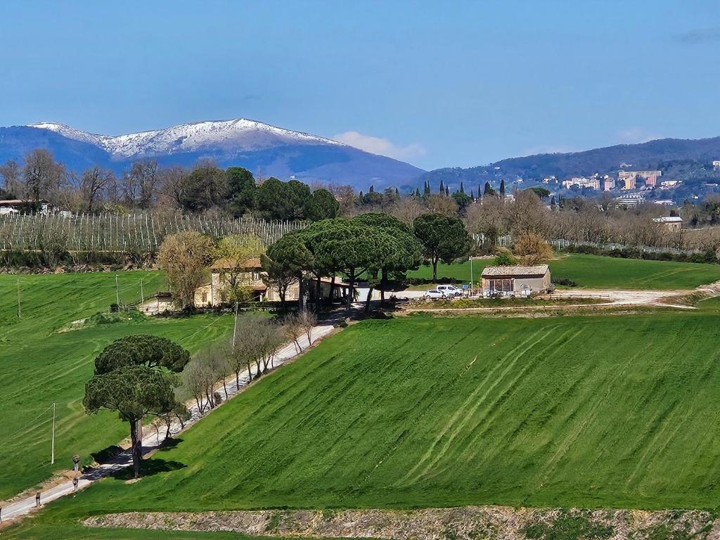 Agriturismo Il Pappamerlo - One-Bedroom Apartment