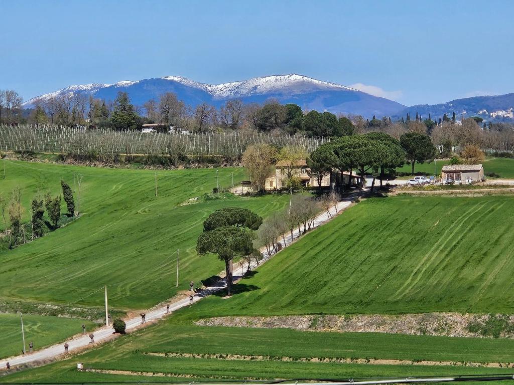 Agriturismo Il Pappamerlo - Superior Apartment