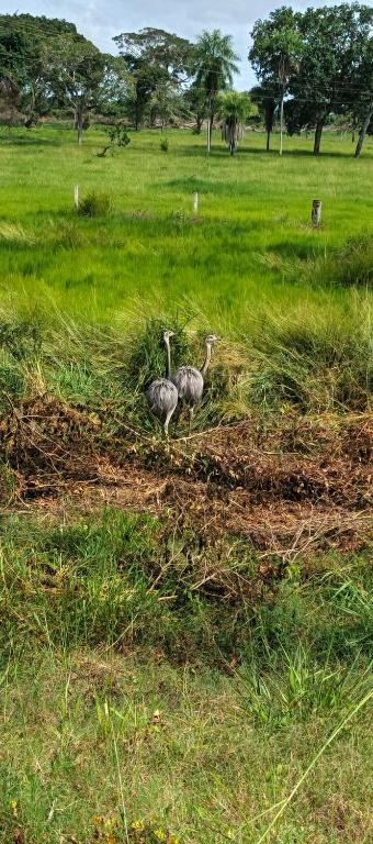 Casa de MaMa Bertha y Papacho
