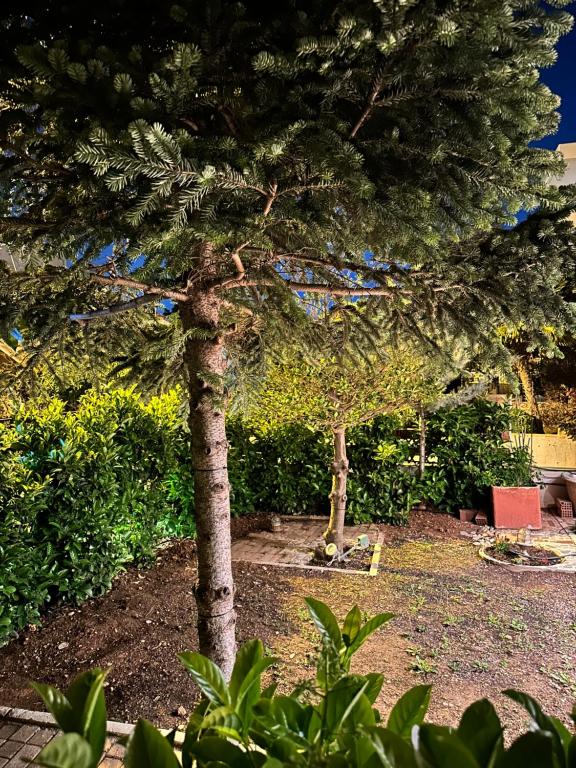 Elegant Garden Apartment in Quiet Halandri