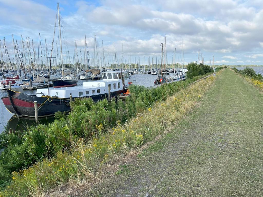 a bunch of boats docked in a marina at WoonBoten Anna in Andijk