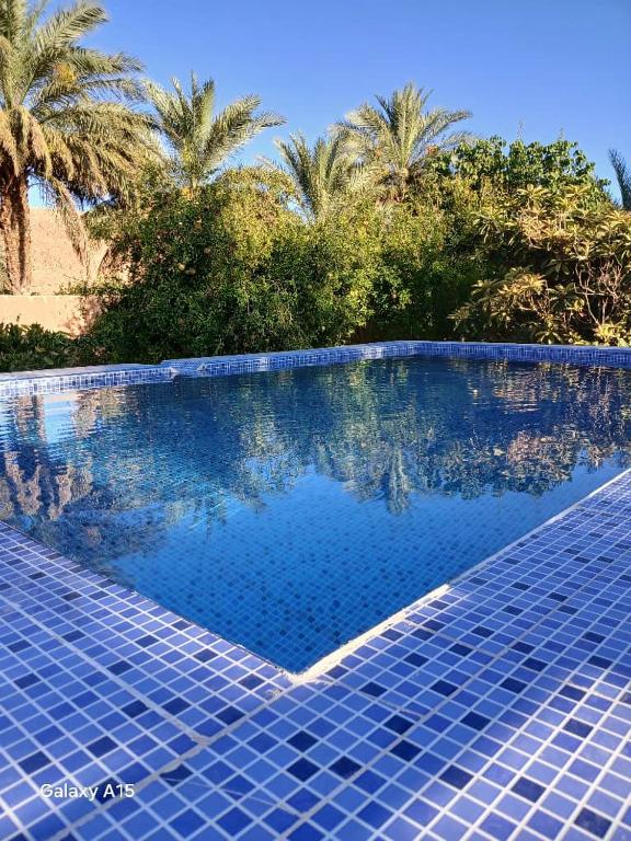 a blue tile swimming pool with palm trees in the background at Maison authentique in Bou Noura
