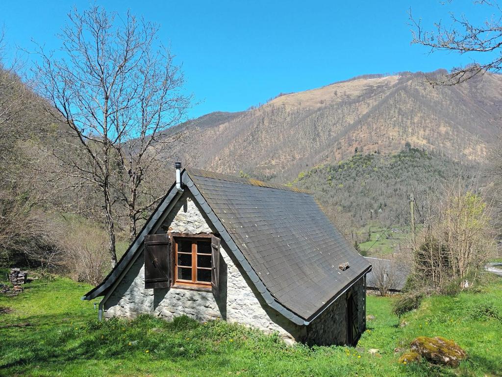 ein kleines Haus mit schwarzem Dach auf einem Feld in der Unterkunft Bergerie Macha in Ustou