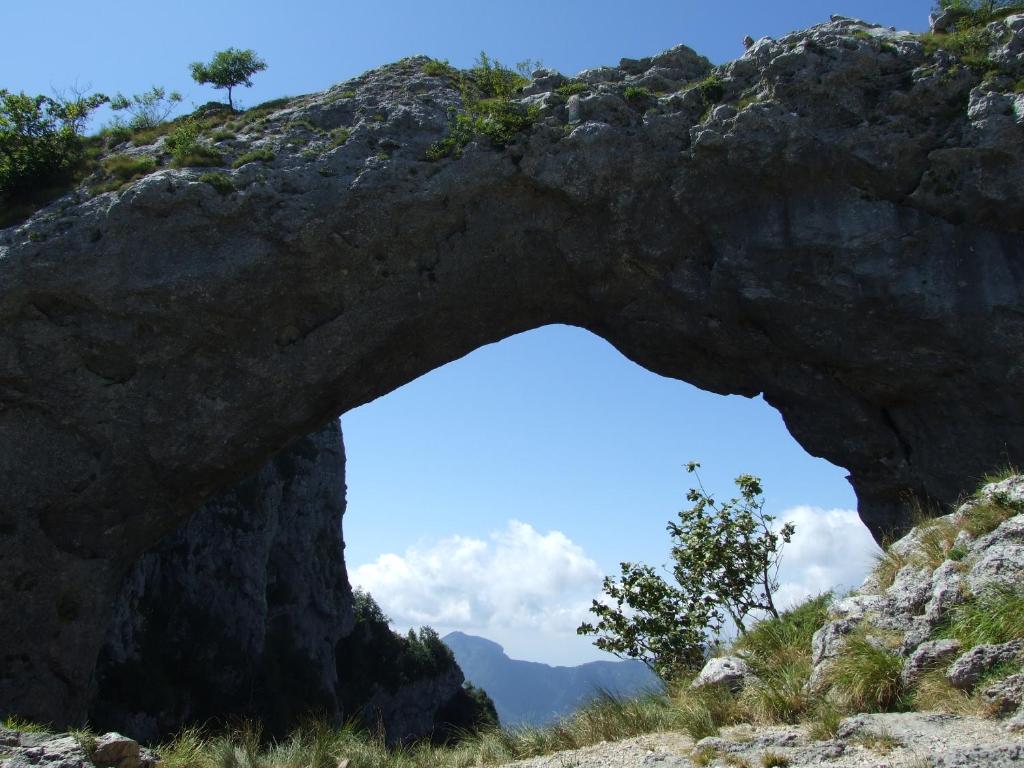 Príroda v okolí dovolenkového domu