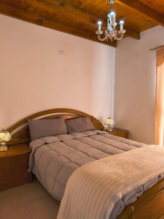 ÁMBAR DEPARTAMENT boutique