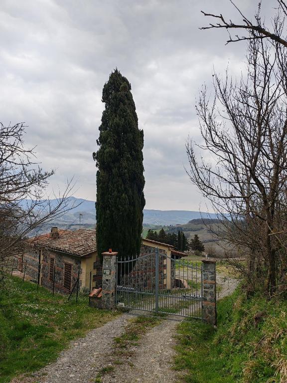 a gate with a large tree in front of a house at La Capanna in Radicofani
