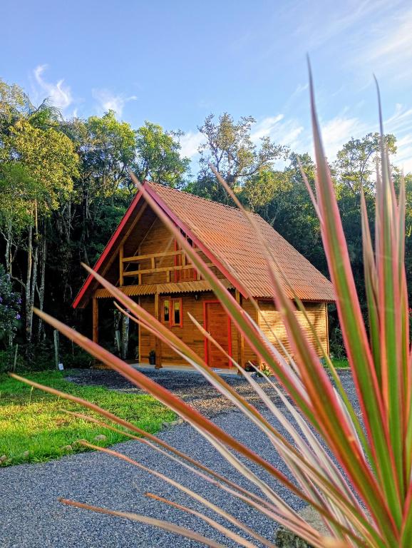 a log cabin with a red roof at Cabana mandaçaia in Timbe do Sul