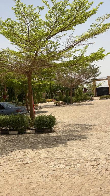 a large tree in a parking lot with bushes at SimHan Luxury Hotel & Resort Jengre in Jengre