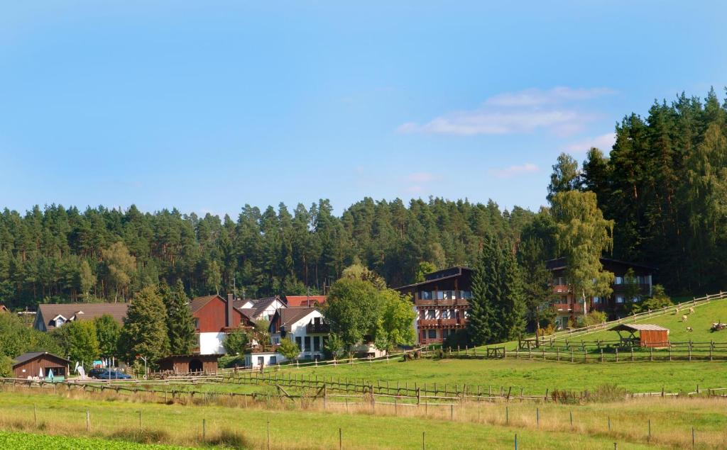 un pueblo en una colina con casas y árboles en Waldhotel Bächlein en Mitwitz