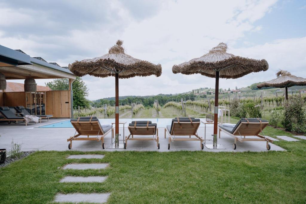 a patio with chairs and umbrellas and a pool at Winzerhof - Deutsch Haseldorf in Deutsch Haseldorf
