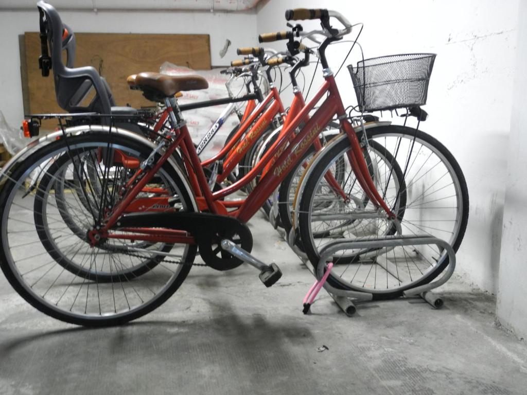Jazda na bicykli v okolí ubytovania Hotel Rossini