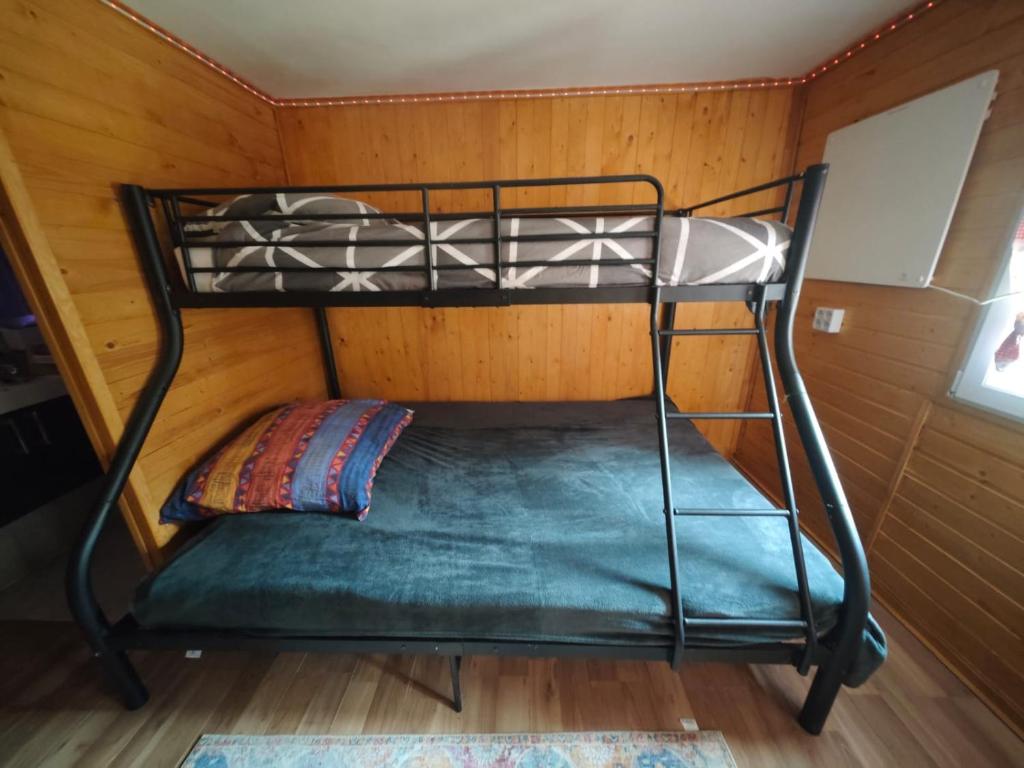 a bunk bed in a room with wooden walls at Gästezimmer Arcoiris in Seifhennersdorf