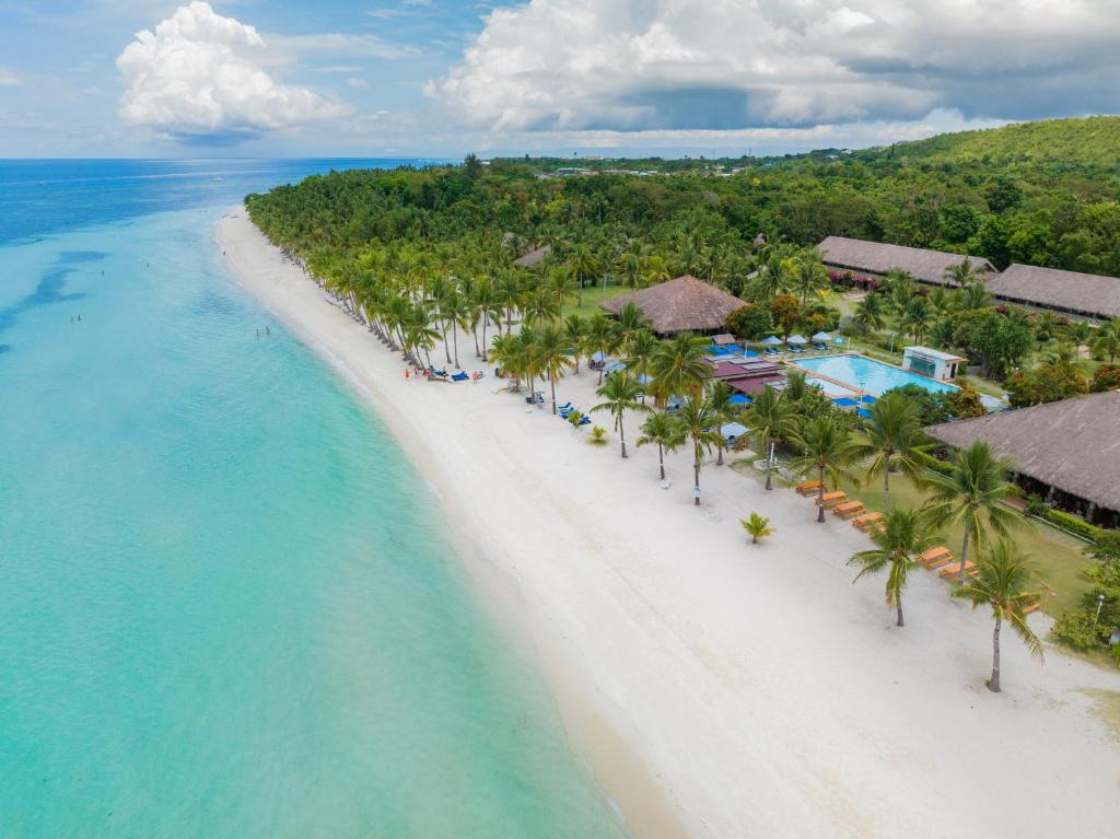 an aerial view of a beach with palm trees at Bohol Beach Club in Panglao Island
