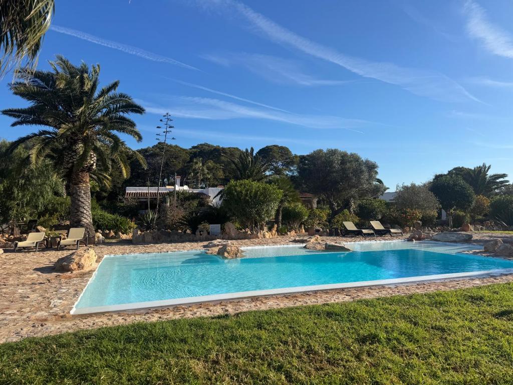a swimming pool in a resort with a palm tree at Michel Dos apartamentos in San Ferrán de ses Roques