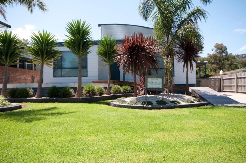 a lawn with palm trees in front of a building at Cambroe in Lakes Entrance