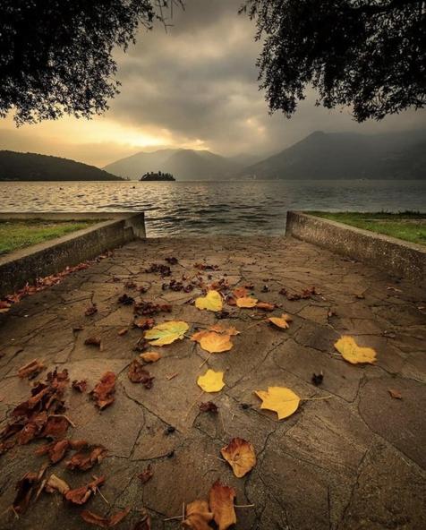 a group of leaves on the ground near a body of water at BINARIO 16- new loft in Marone